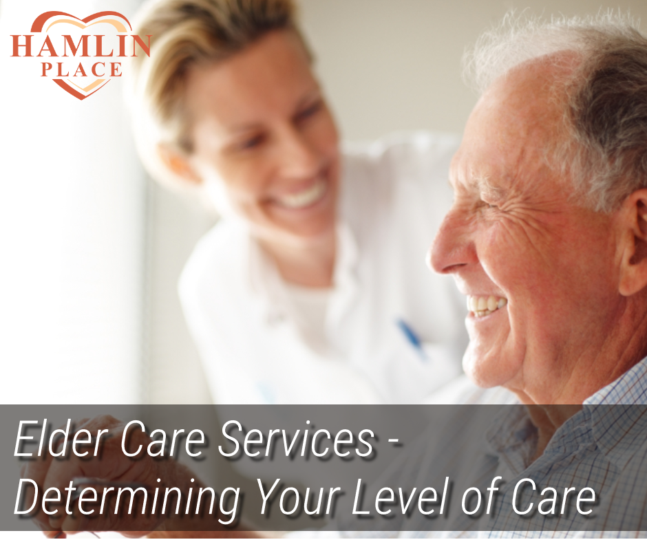 Elder Care Services – Determining Your Level Of Care
